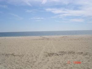 Cape Cod Beach Rental - Covell Beach
