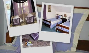 cape cod pet friendly rental :: blue bedroom collage